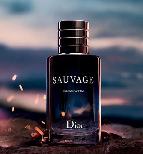 Sauvage Dior Eau De Perfume | Long Lasting Fragrance