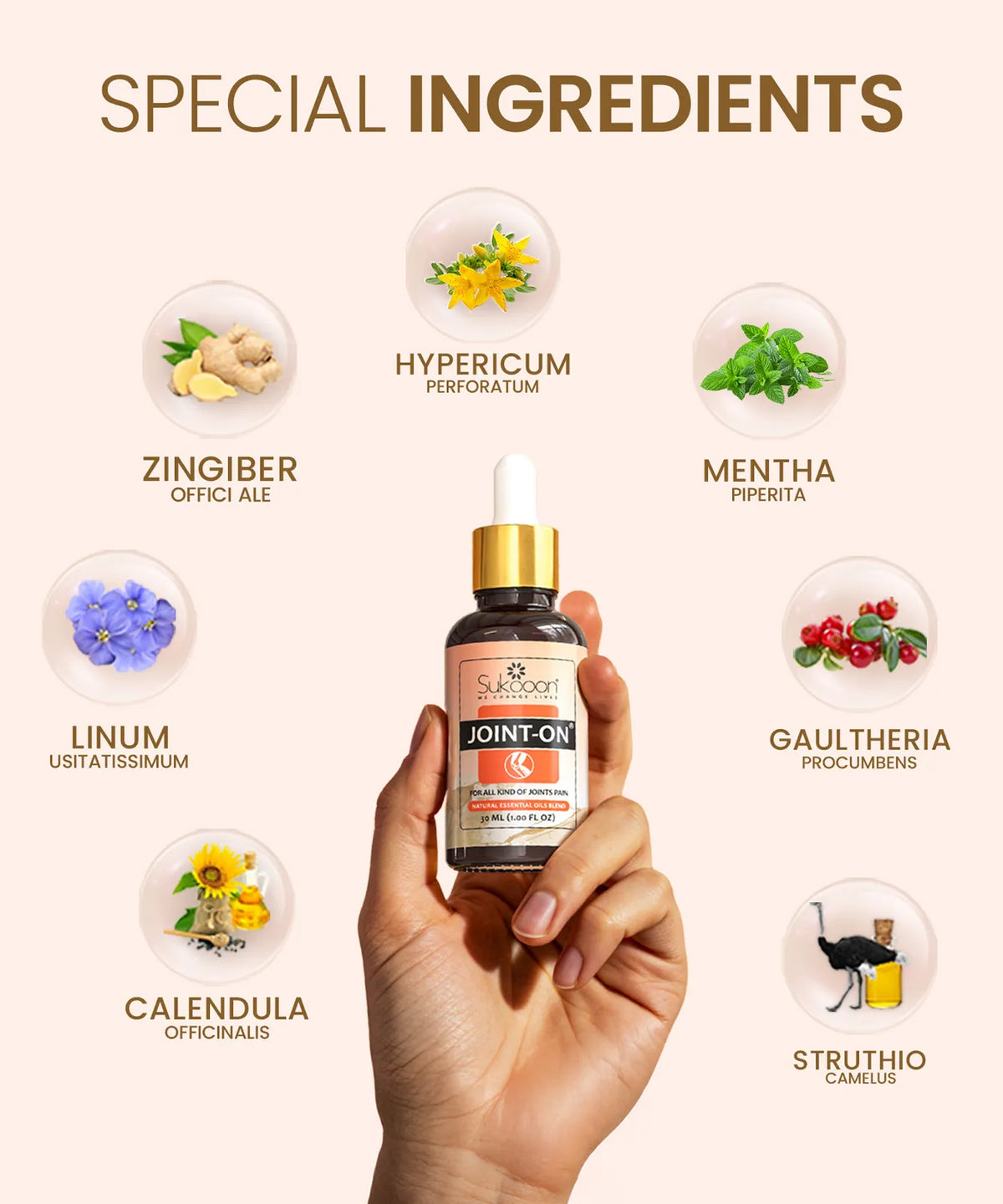 Joint On Oil – Knee & Back Pain Relief
